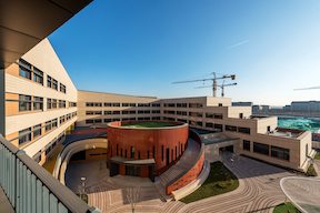 米兰app体育直播在线观看_米兰(中国)设计