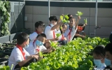 劳动教育进行时|“都市农场实践课堂”劳动教育示范基地新学年启动仪式成功举办