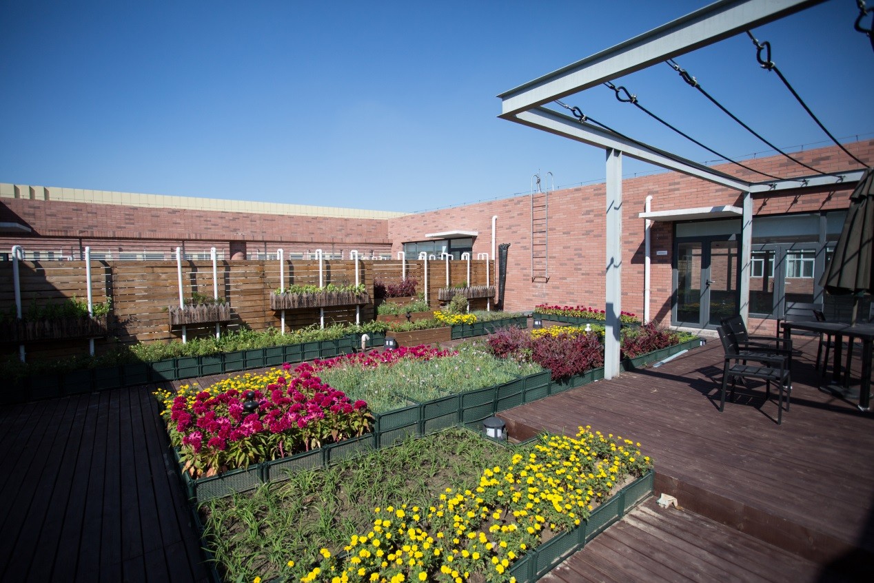 米兰app体育直播在线观看_米兰(中国)设计